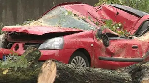 Powalone przez wiatr drzewo przygniotło samochód. Burzowy piątek w Polsce