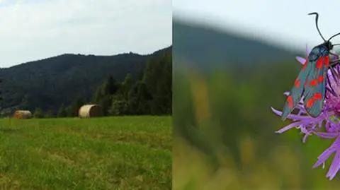 Beskid Niski w obiektywie Reporterki 24