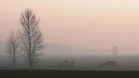 Gęsta mgła na zachodzie może utrzymać się do piątkowego poranka