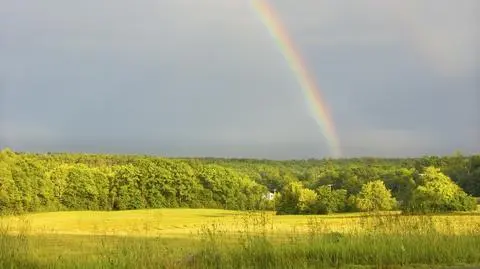 Pojawią się burze