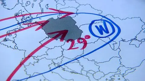 Słonecznuy początek września