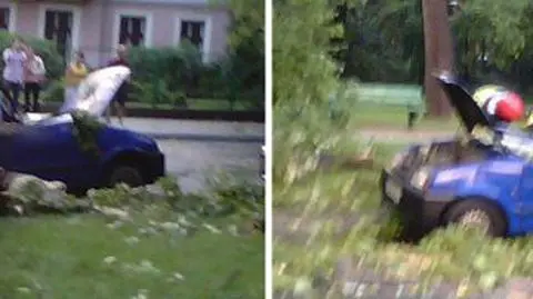 Drzewo runęło na samochód. Cinquecento zmiażdżone
