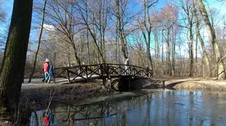 Dzień w Poznaniu zapowiada się pogodnie