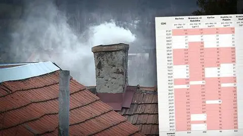 Polski Alarm Smogowy: rekordowe stężenie pyłu w mieście premier Szydło. W styczniu ponad 850 proc. normy