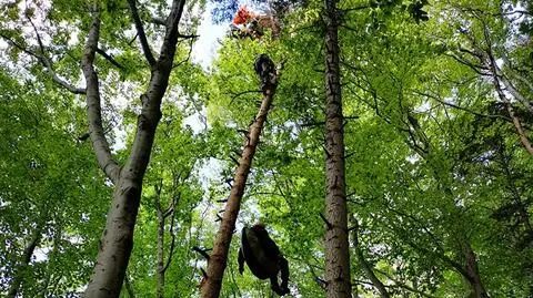 Paralotniarz utknął na drzewie, turysta upadł z wysokości. Kilka wypadków w górach