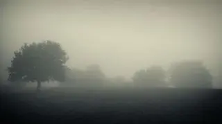 Najgęstsze mgły są m.in. na Kujawach