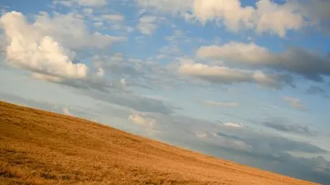 Już jest wiosna. Na razie meteorologiczna
