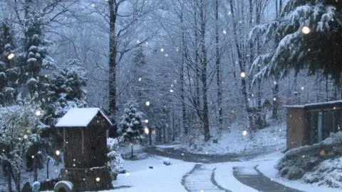 "U mnie za oknem zrobiło się biało". Pogodowe relacje Reporterów 24