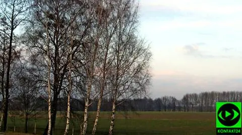 Na ogół będzie pogodnie