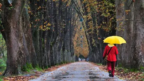Prognoza na pięć dni
