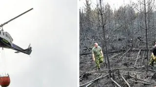 Ogień trawi lasy w Szwecji