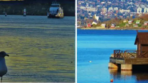 Fiord Oslo. Zobacz bajeczną zatokę