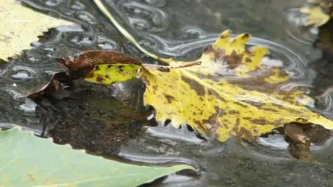 Noc jeszcze pogodna