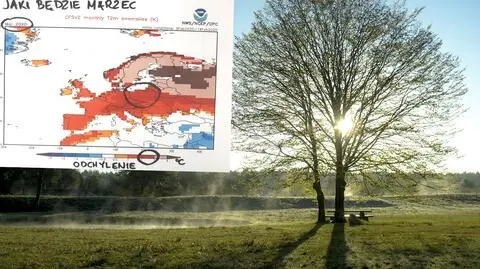 Jaka pogoda będzie w marcu?