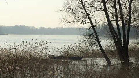 Prognoza pogody na dziś: będzie wiosennie