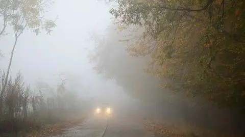 Mgł na zachodzie i w centrum