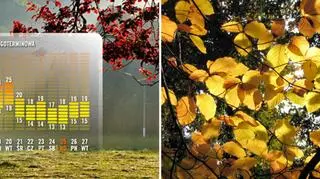 Prognoza pogody od 12 do 27 września