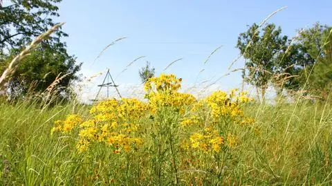 Komunikat dla alergików