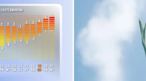 Temperatury maksymalne i minimalne w ciągu najbliższych 16 dni w Polsce