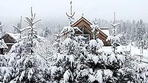 Zimowy krajobraz w Polsce