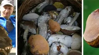 Gigantyczny prawdziwek z Kaszub - znalezisko pana Macieja