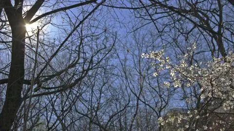 Słońce na zachodzie, deszcz na wschodzie