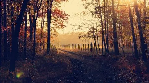 Sobota będzie w większości pogodna