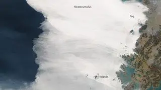 Gęsta mgła nad Morzem Żółtym