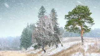 Do końca tygodnia opady deszczu ze śniegiem i śniegu