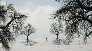 W pogodzie nudno jak na stepie