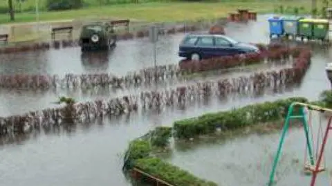 Uliczne potoki i powalone drzewa