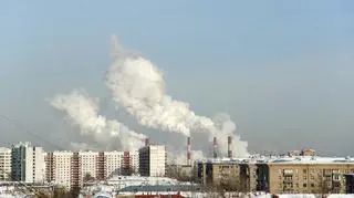Darmowy węgiel skrócił im życie o 5,5 roku