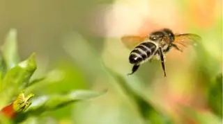 Ekolodzy cieszą się z wyników głosowania