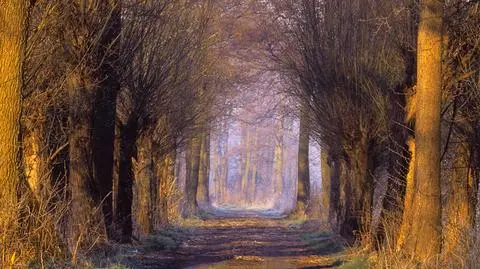 Zapowiada się dobry dzień