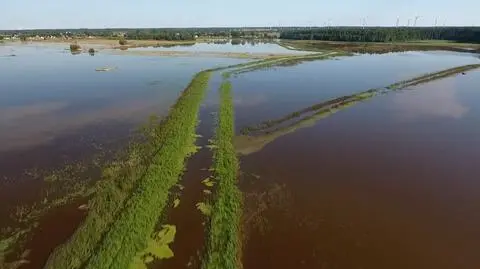 Walczą z wyrwami w wale