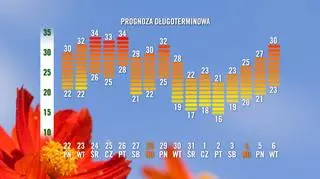 Długoterminowa prognoza pogody