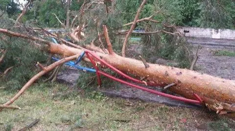 Zniszczone dachy, powalone drzewa. Nawałnice przeszły nad Polską