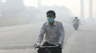 Zanieczyszczenie powietrza w Delhi