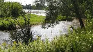 Ujście Świdra do Wisły