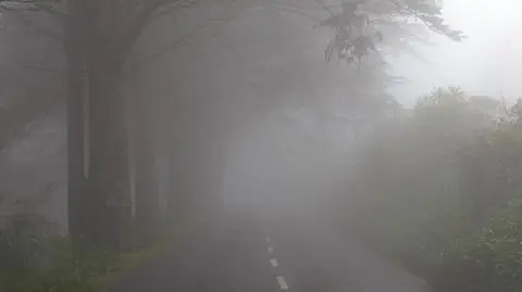 Jazdę utrudniają mgły