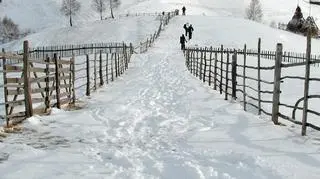 Na Połoninie Wetlińskiej leży ok. 90 cm śniegu