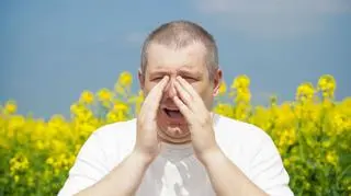 Alergicy będą mieli powody do kichania
