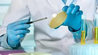 Bakterie potrafią być bardzo groźne
