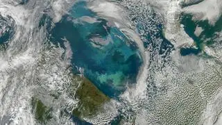 Zdjęcie satelitarne rozwijającego się fitoplanktonu - fotografia z 2013 roku