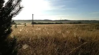 Polska, złota jesień