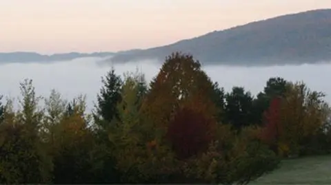 Poranne mgły w Polsce