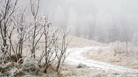 Wielkanoc może być biała