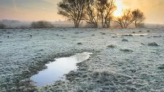 Druga dekada maja może się okazać bardzo chłodna...