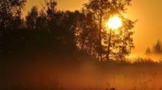 Słońce nad Biebrzańskim Parkiem Narodowym ogrzewa powietrze