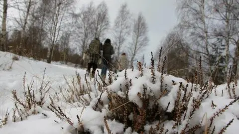 Miejscami popada śnieg